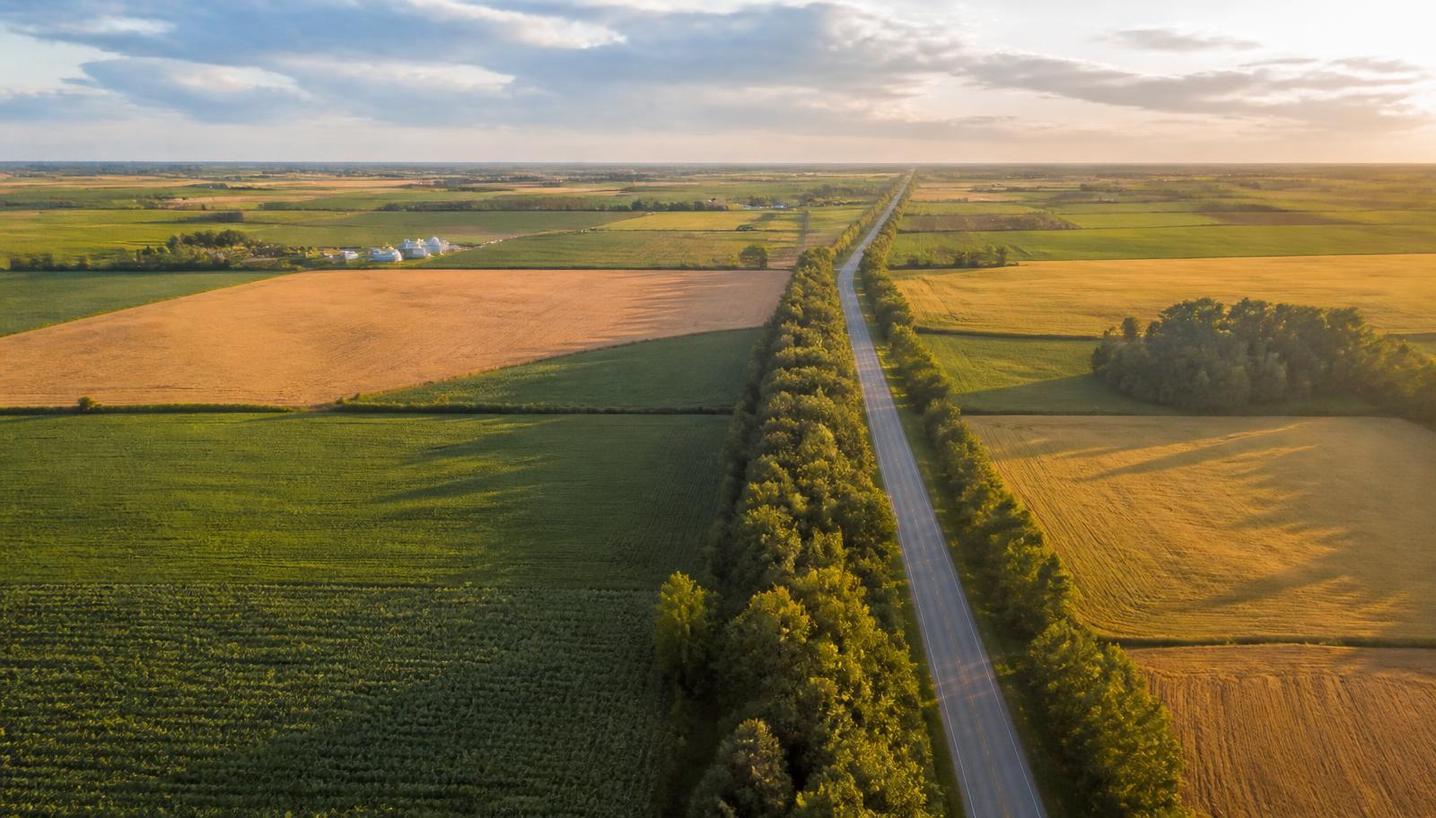 Aerial view of Canadian farmland with a patchwork of crop fields